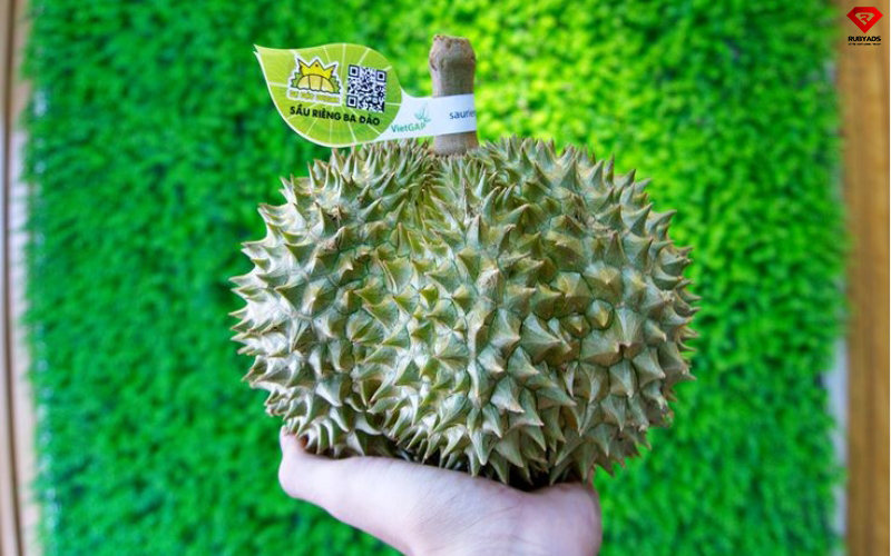 in tem nhãn nông sản